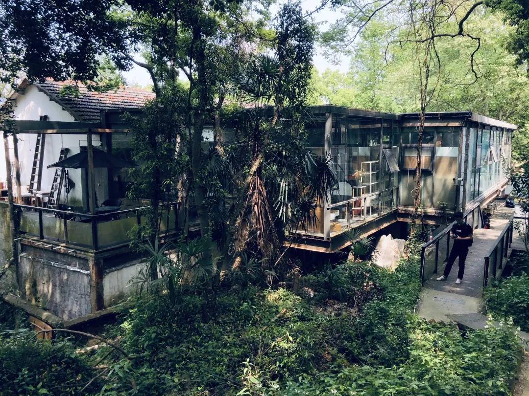 合同解除权最新规定详解，探寻法律宝藏与独特法律风味小店