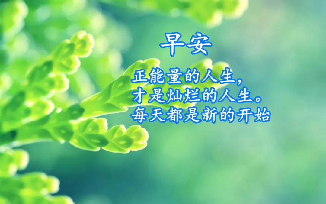 重型机械轴承 第355页