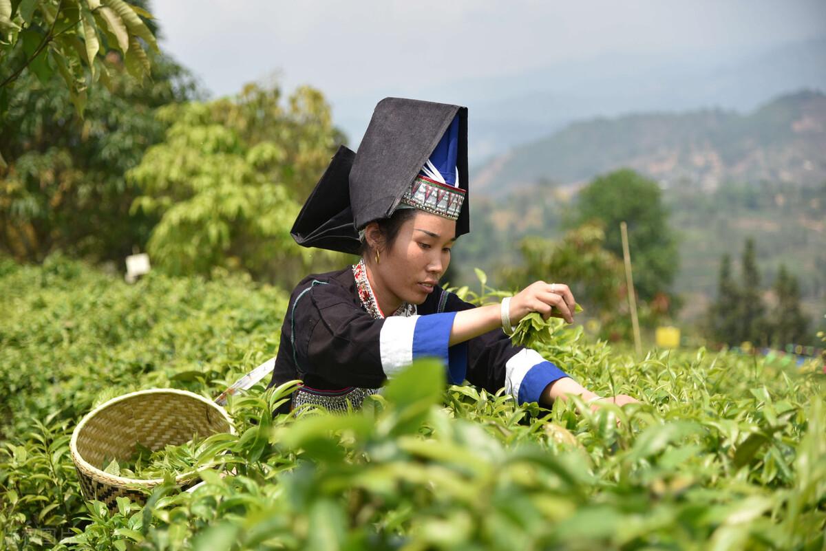 模具制造 第146页