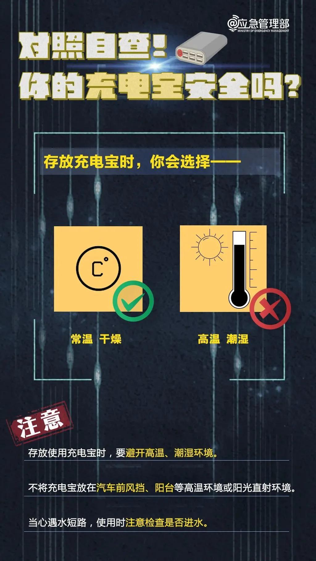 维京最新动态，深度解读与观点阐述