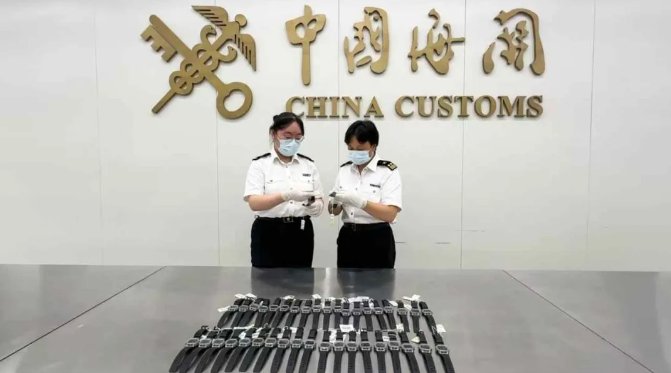 海关发布最新消息更新🌟