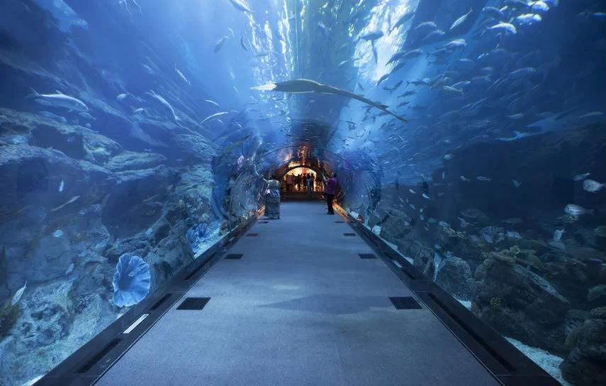 海洋最新一期，自然美景探索之旅