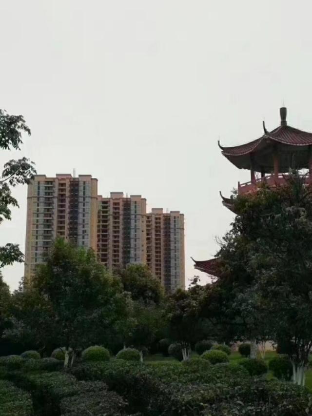 重型机械轴承 第440页