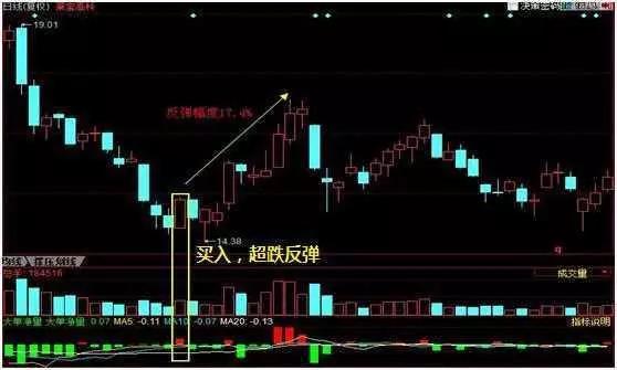 马斯克股票最新动态与巷弄深处的投资宝藏探秘