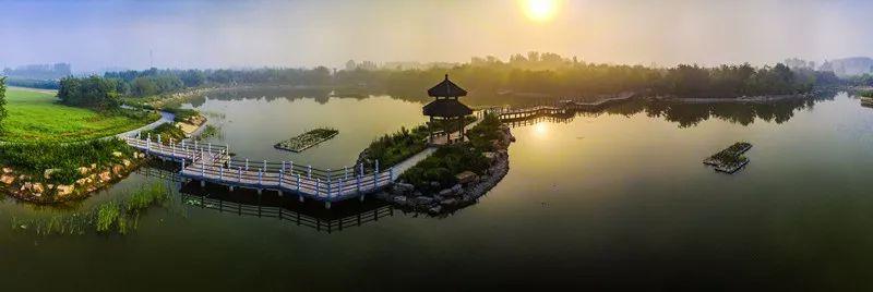 最新玉米价行情走势预测，与自然美景的邂逅之旅
