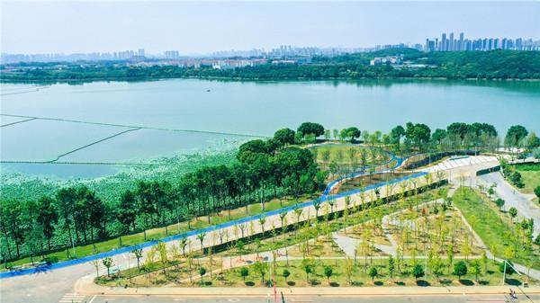 最新政法大学，背景、发展、影响与地位全面解析