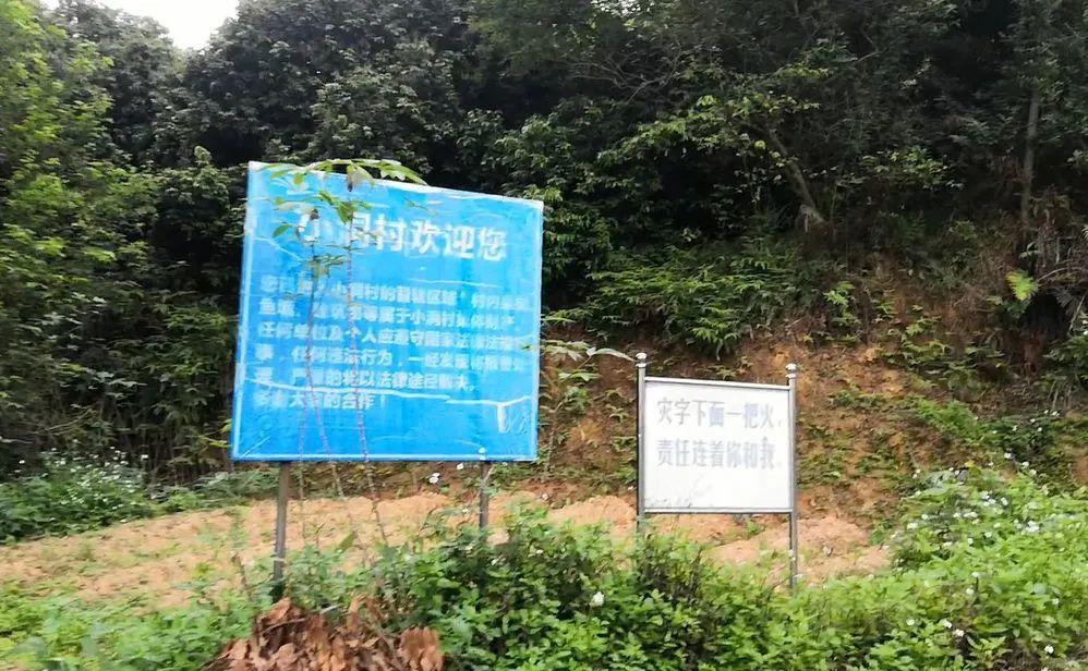 东莞同沙生态公园最新论述与动态分析