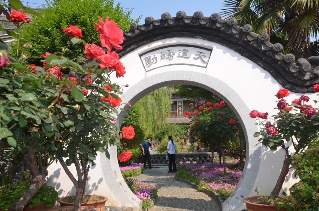 云南昆明疫情最新数据，疫情之下的自然美景探索之旅