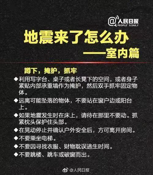 地震最新消息台，全面解读与观点阐述深度报道
