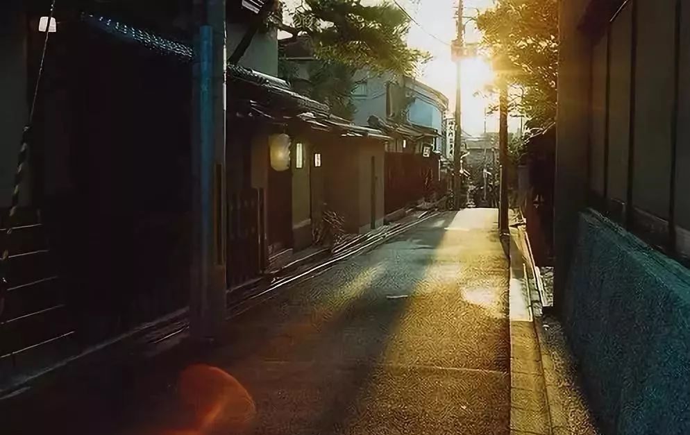 美心最新动态，小巷中的隐藏宝藏，特色小店活力四溢