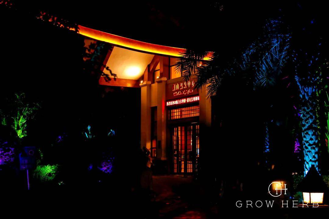 小巷深处的独特魅力，最新一代内一家特色小店的惊喜宝藏