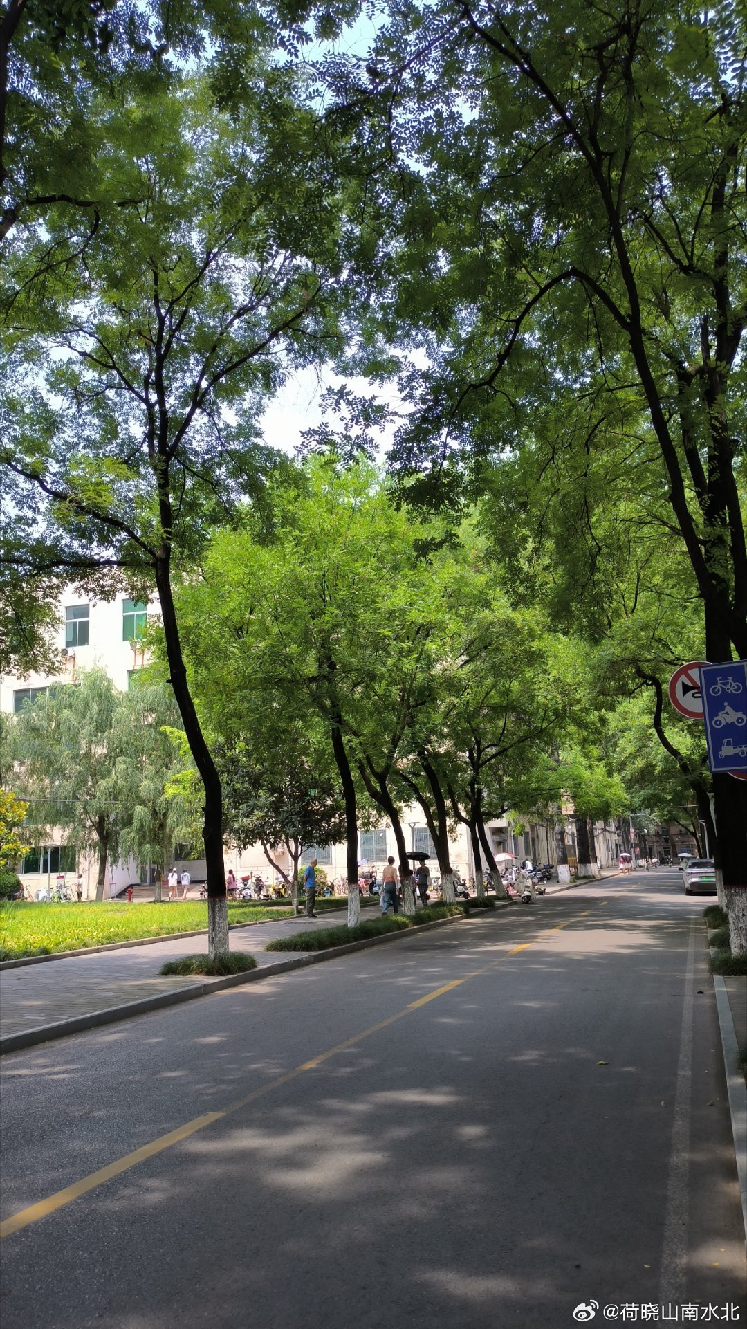 西安最新大学开学时间及小巷深处的独特风味探秘