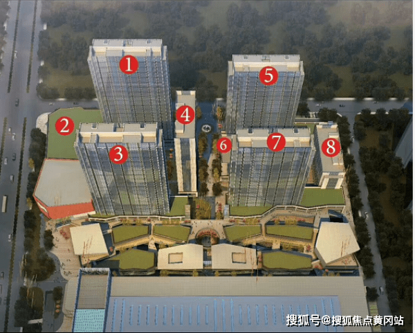 淀号最新动态深度解析与观点阐述