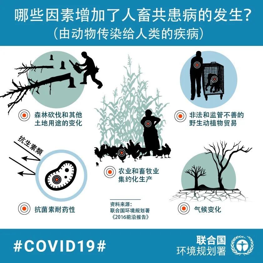 河北冠状病毒最新动态与大自然宁静之美的探索呼唤