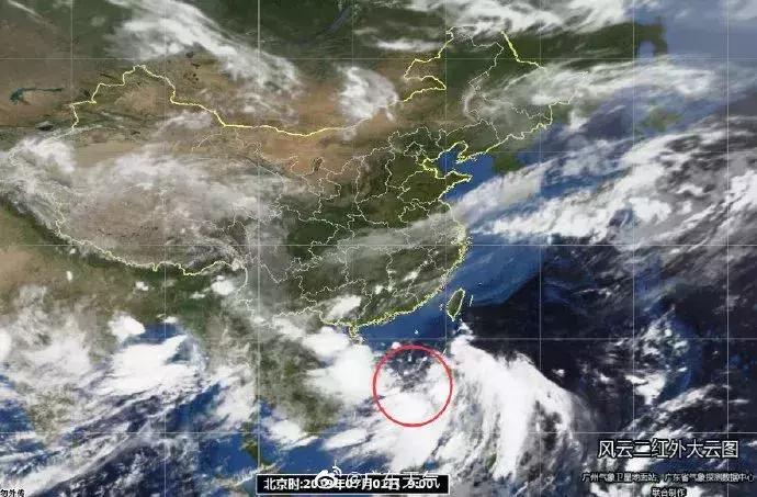 广州暴雨最新消息，影响与观点分析