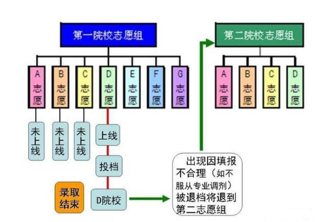 最新高考志愿填报规则解析与指导