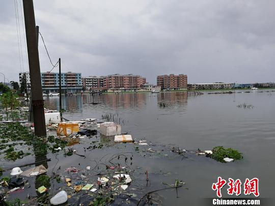 台山市台风最新消息更新
