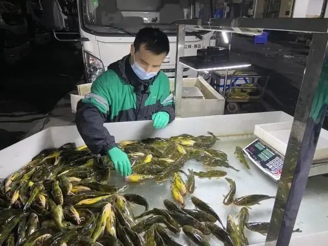 安顺最新消息今日更新，城市发展与未来展望