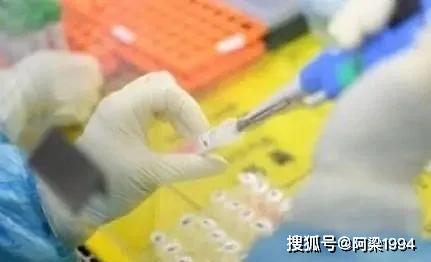 疫情结束时间预测与全球变化，希望与力量的交织前行