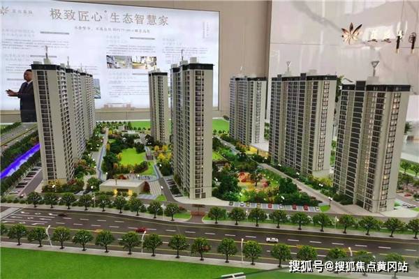 龙郓最新消息全方位解析，多维度观点分析