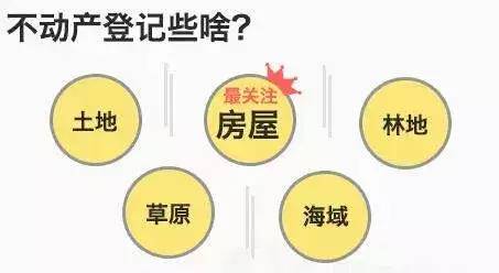 遵守法律道德的科技产品介绍，聚焦功能亮点与体验，科技产品引领生活变革