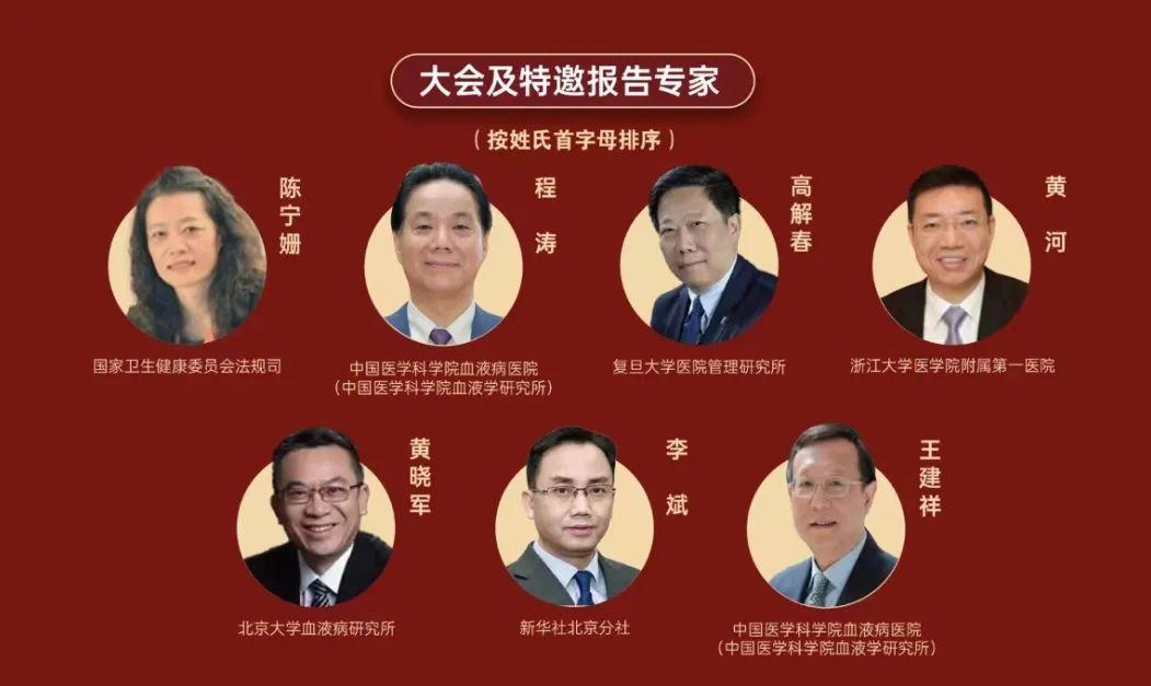 视频最新版本探索，前沿技术与内容革新的交汇点