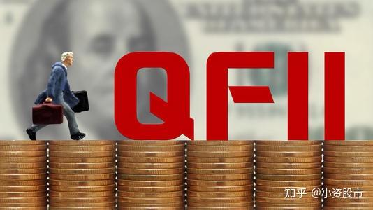 外资QFII最新动向深度解析，观点阐述与趋势观察