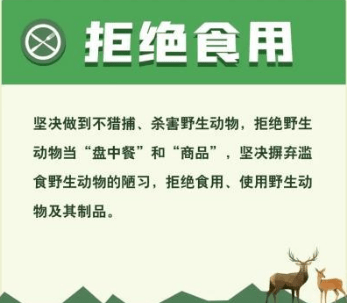小学教资科一最新,小学教资科一的奇妙旅程，一场知识与情感的成长