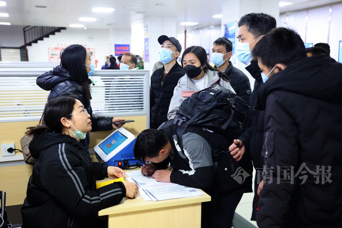 柳州市人才市场网最新招聘及求职步骤指南
