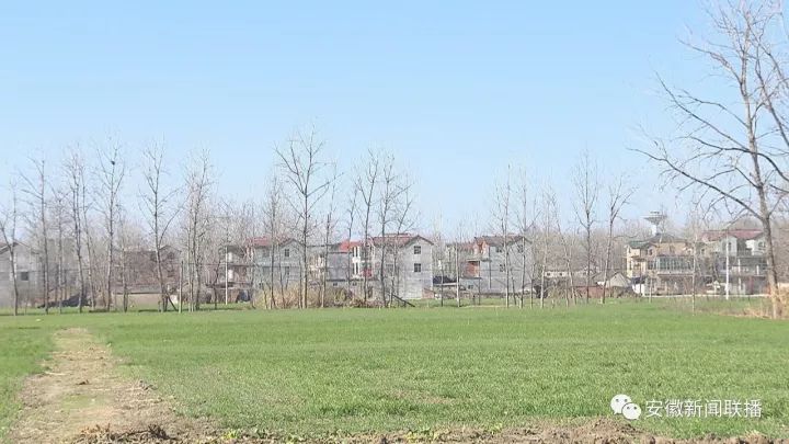 界首市邴集乡最新消息,界首市邴集乡最新消息