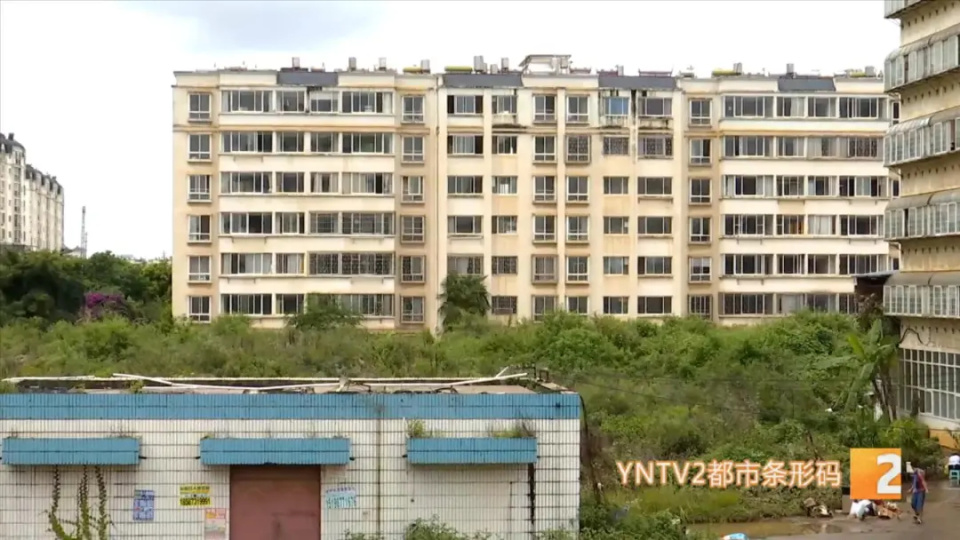 朝阳区两限房最新动态与小巷风情小店探秘