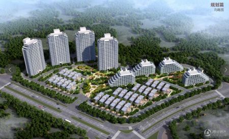 阳西碧桂园最新动态，变化中的学习力量，塑造自信与成就之旅
