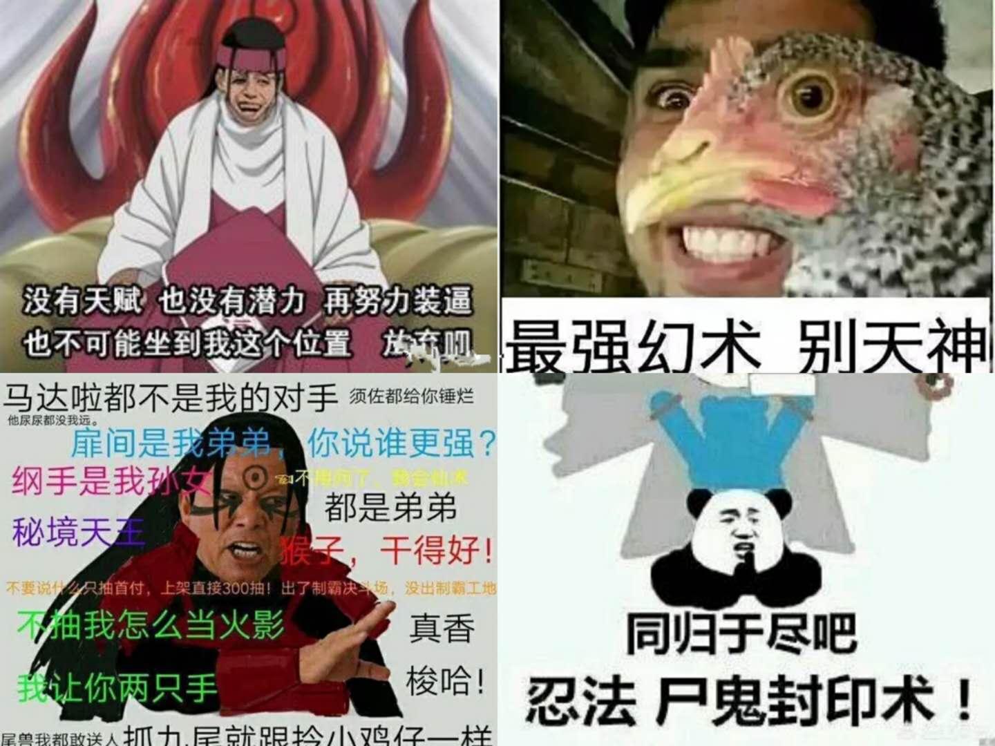 暴漫最新进展及其观点论述解析