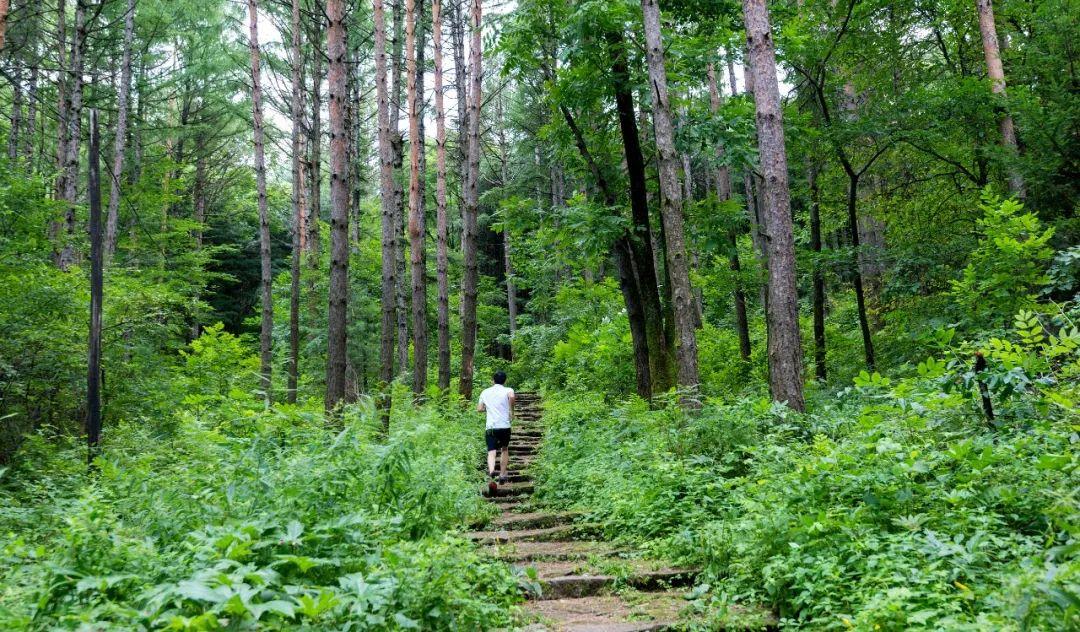苹果智能穿戴，自信与成就感的魔力之旅最新动态揭秘