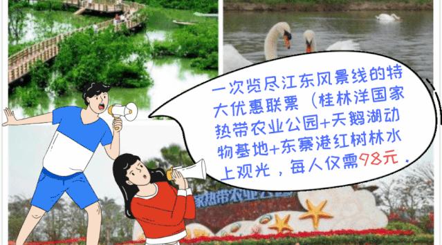 儿童福利最新进展揭秘，小明的快乐成长故事助力儿童幸福未来