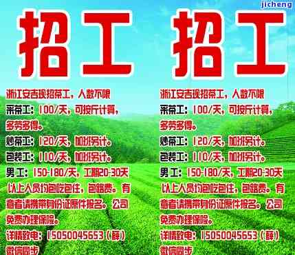 最新遮阳网招工启事，阳光工厂寻找你的欢乐工作时刻
