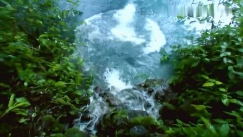 蓝峰狂龙最新探索，自然美景的治愈之旅