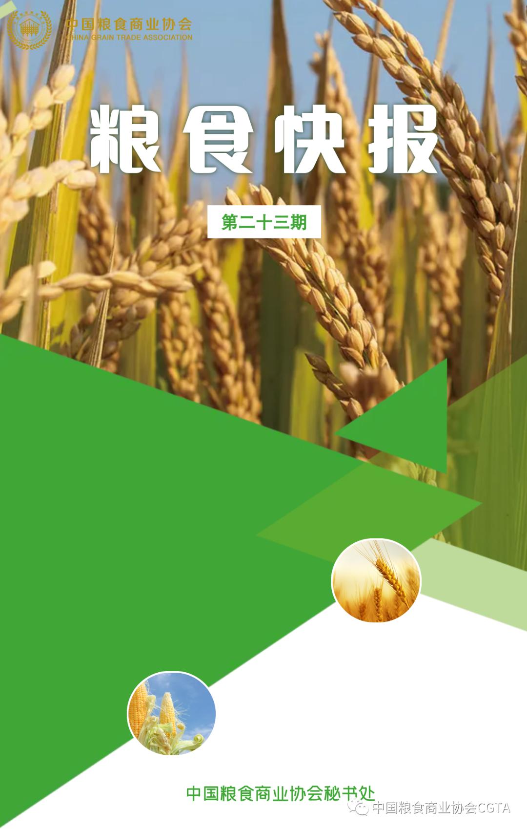 中国最新水稻价格及分析其影响因素概述