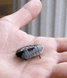 承配件制造 第150页