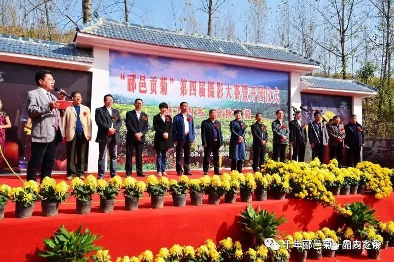 四虎影最新动态揭秘，影视界的新趋势与热门资讯