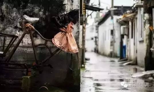 窝精子最新版，小巷中的秘密风味探索