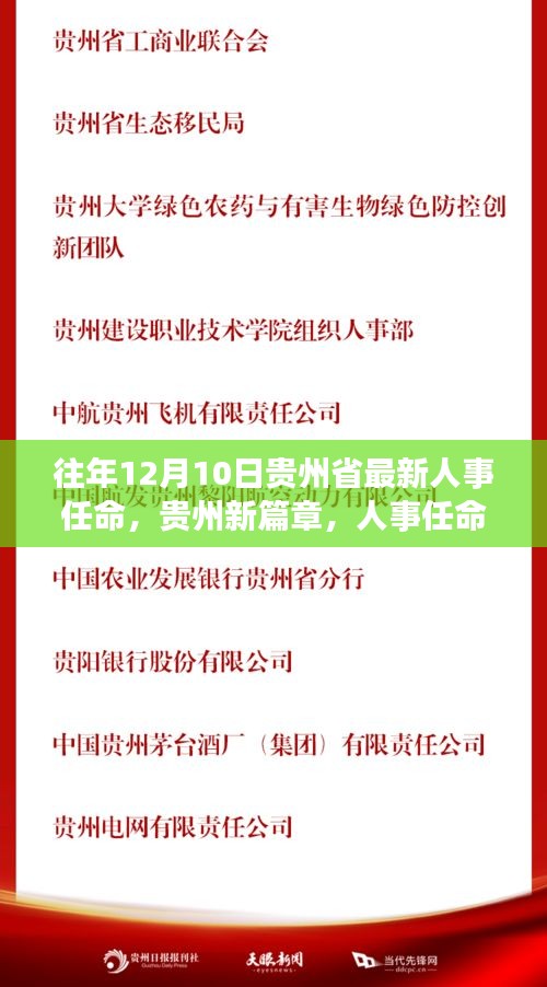 最新人事调整后的新征程，期待与展望✨