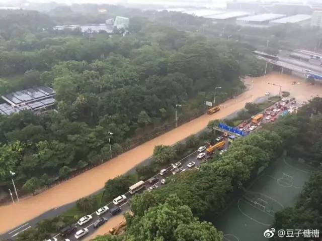宁波大暴雨预警下的自然美景探索之旅