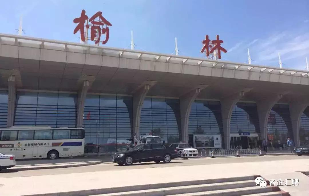 大岗招聘最新信息及步骤指南概览