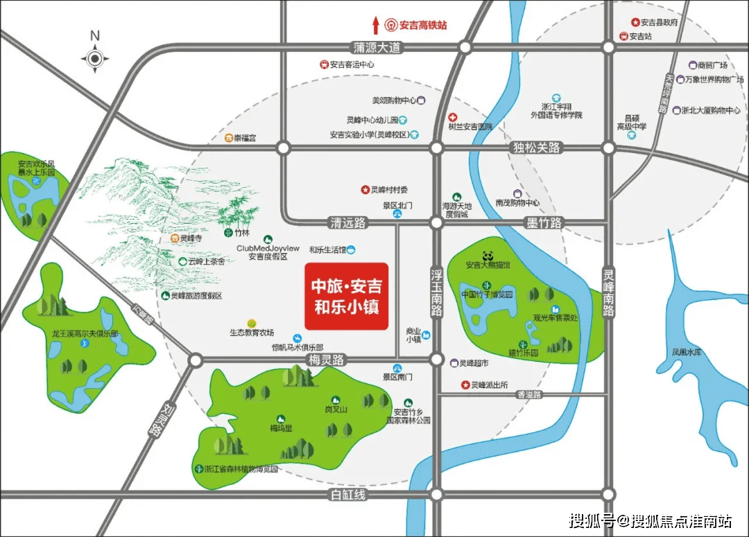 最新跑狗图，深度解析社会现象的新视角