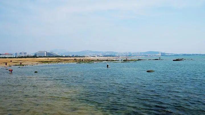 三亚最新招聘信息揭秘，小城的求职奇遇与友情的绽放旅程