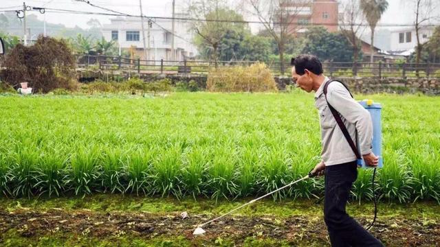 福鼎招聘网最新招聘，探索自然美景，寻找内心平和之旅