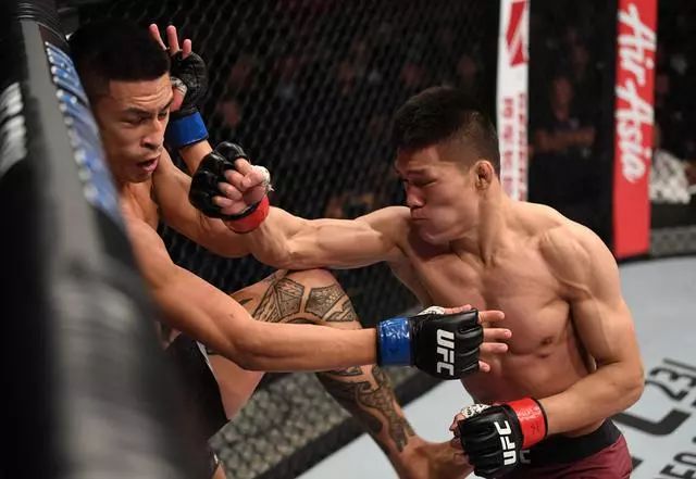 UFC最新赛事，激烈竞技与观众期待的巅峰对决