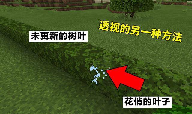 缺氧最新版，寻找内心平静的绿色探索之旅