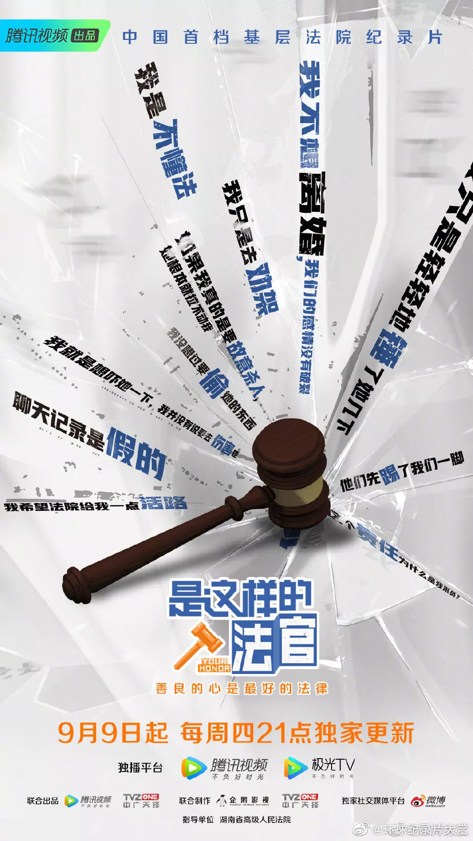 最新普法栏目剧，法律普及的新视界